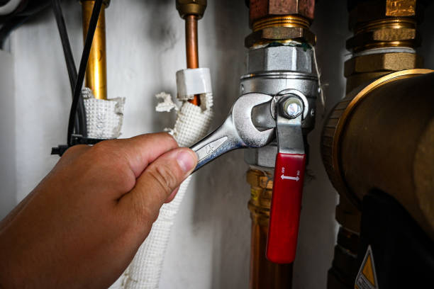 Best Plumbing Inspection Services  in Coopersville, MI